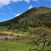 太郎山と枯沼