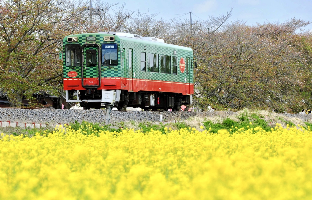 もうか鉄道 撮影ポイント