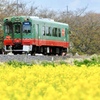 もうか鉄道 撮影ポイント