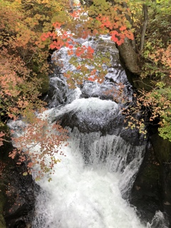 休日に紅葉狩り