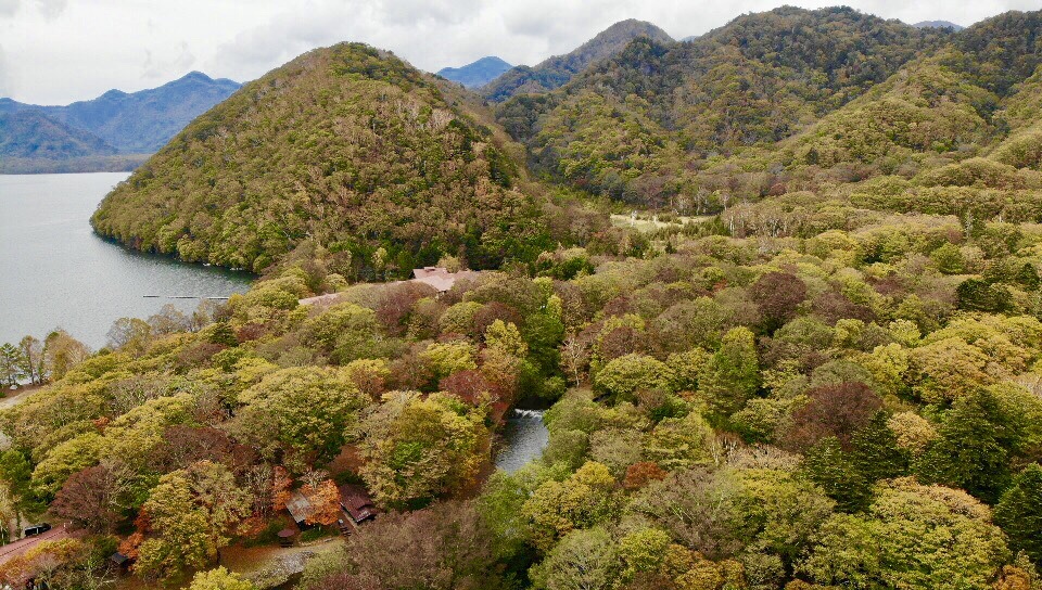 菖蒲が浜湖畔を鳥さんの視点で
