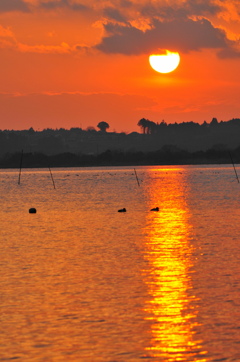 親沢の夕日