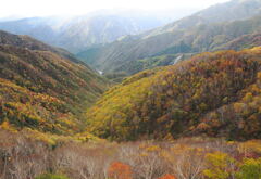 足尾の山々①