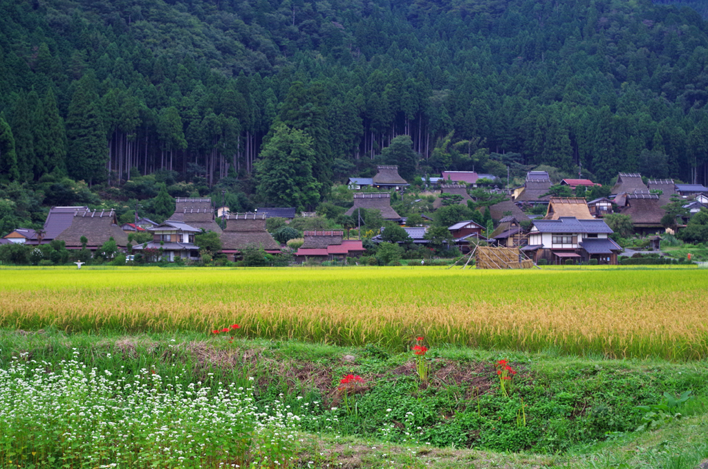 美山集落
