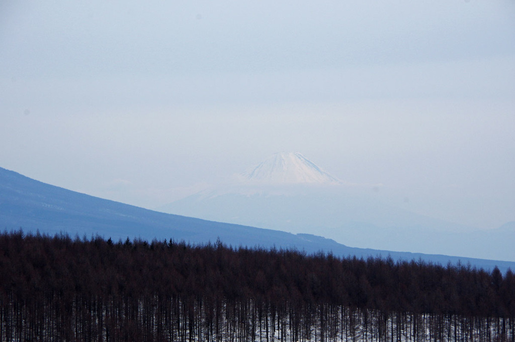 富士見台から富士山
