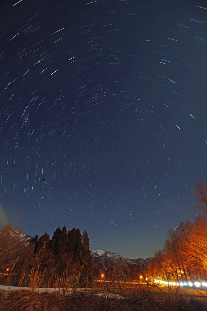 メタセコイヤ星北向き