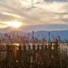 琵琶湖夕陽