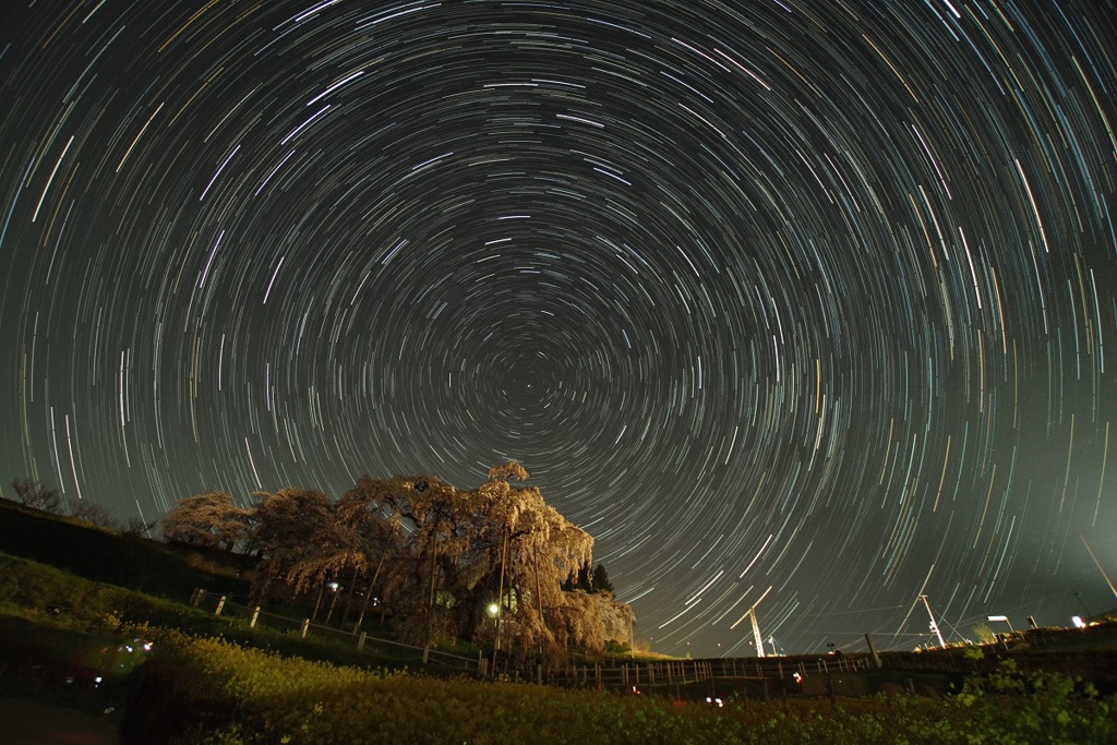 滝桜星軌跡