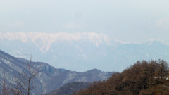 八島湿原から