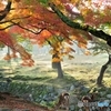 早朝の奈良公園
