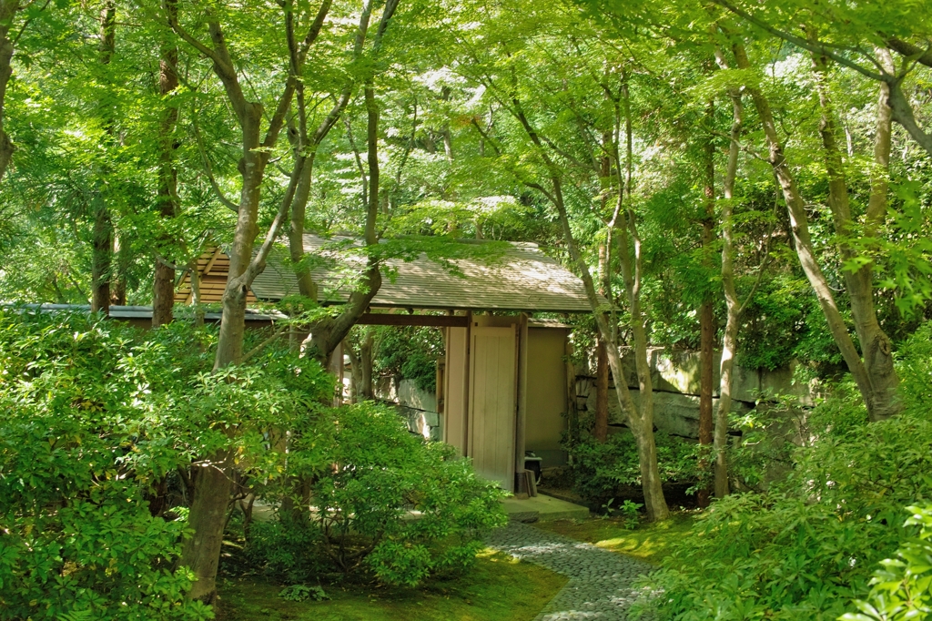 山荘