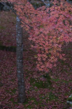 永源寺