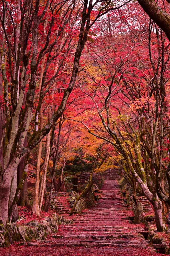 鶏足寺