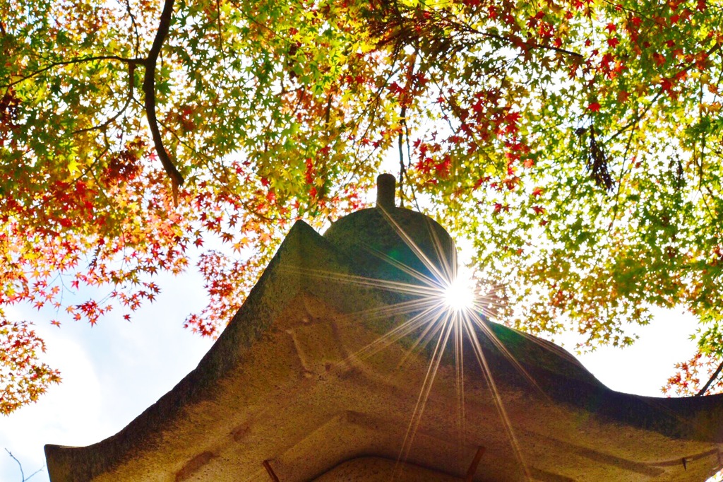 近くの神社
