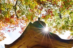 近くの神社