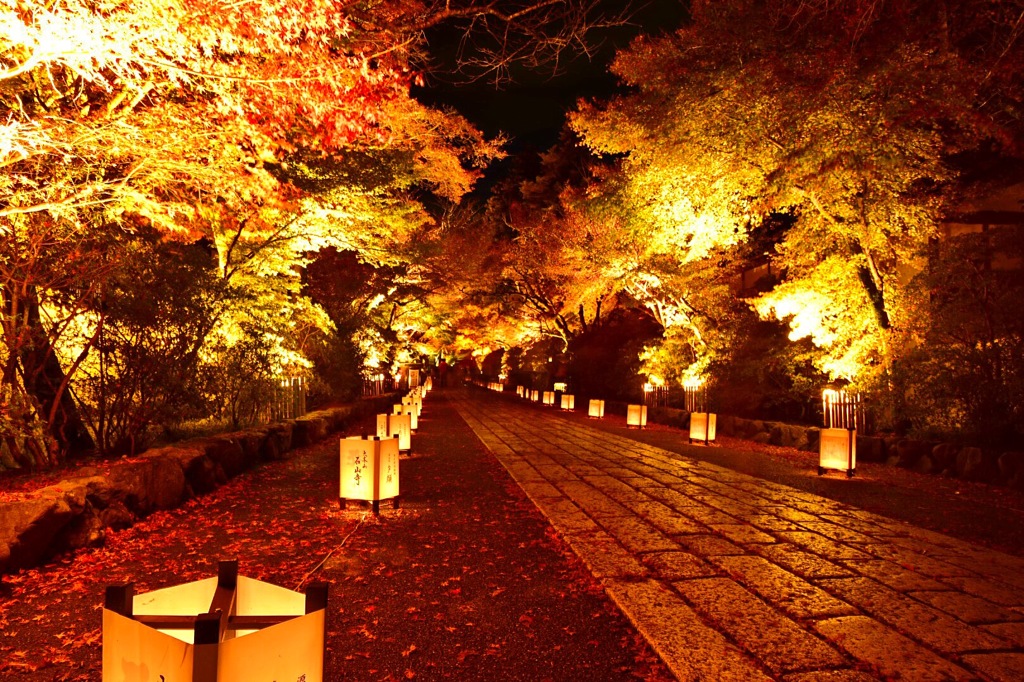 石山寺のライトアップ