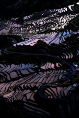丸山千枚田の朝