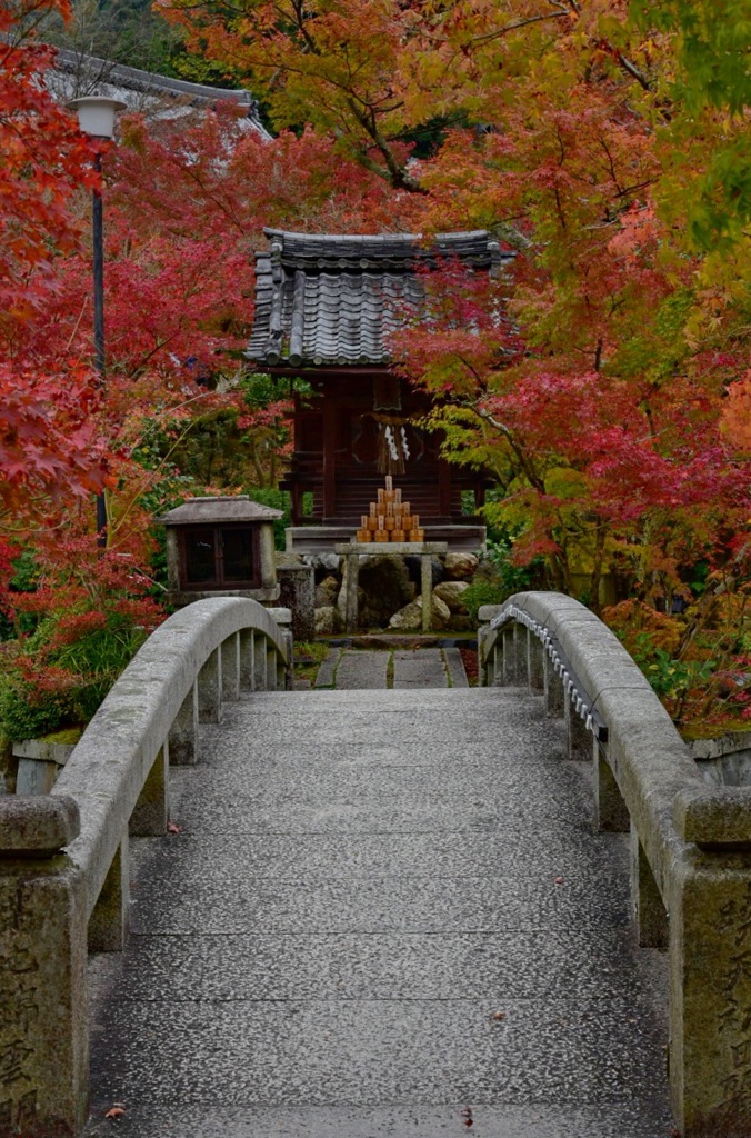 永観堂