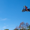 FMX(6)
