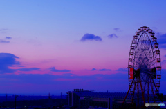 SUZUKA の夜明け～エギゾーストノートが聞こえる日まで～