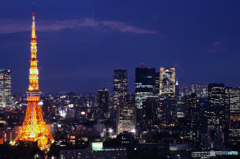 東京風景⑭ #東京タワー #世界貿易センタービル