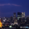 東京風景⑭ #東京タワー #世界貿易センタービル