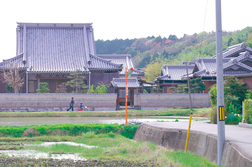 春・新緑の中で