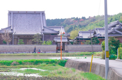 春・新緑の中で