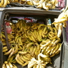バナナカー