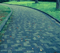 Another life