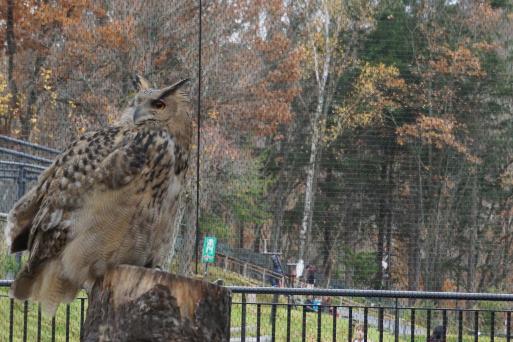 Asahiyama　ＺＯＯ