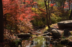 盛岡城跡公園にて