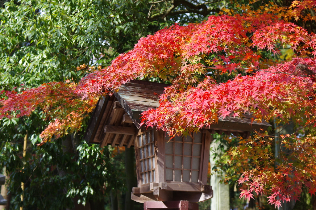 伊曽乃神社