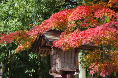 伊曽乃神社