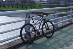 Stumpjumper
