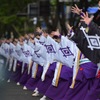とうほくYOSAKOIまつり
