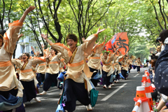 2017東北よさこい 