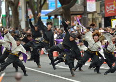 みちのくYOSAKOIまつり