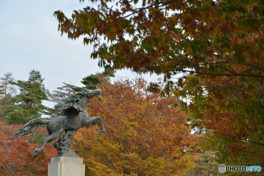 紅葉とペガサス