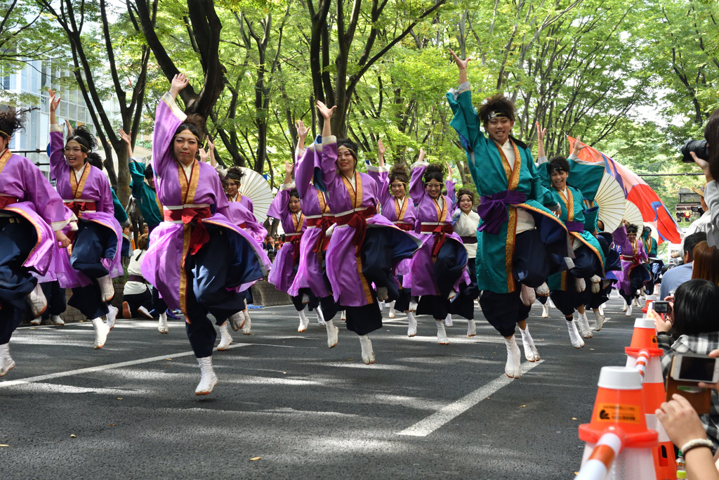 2017東北よさこい 