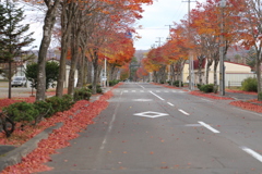 標茶(しべちゃ)町立中学校前