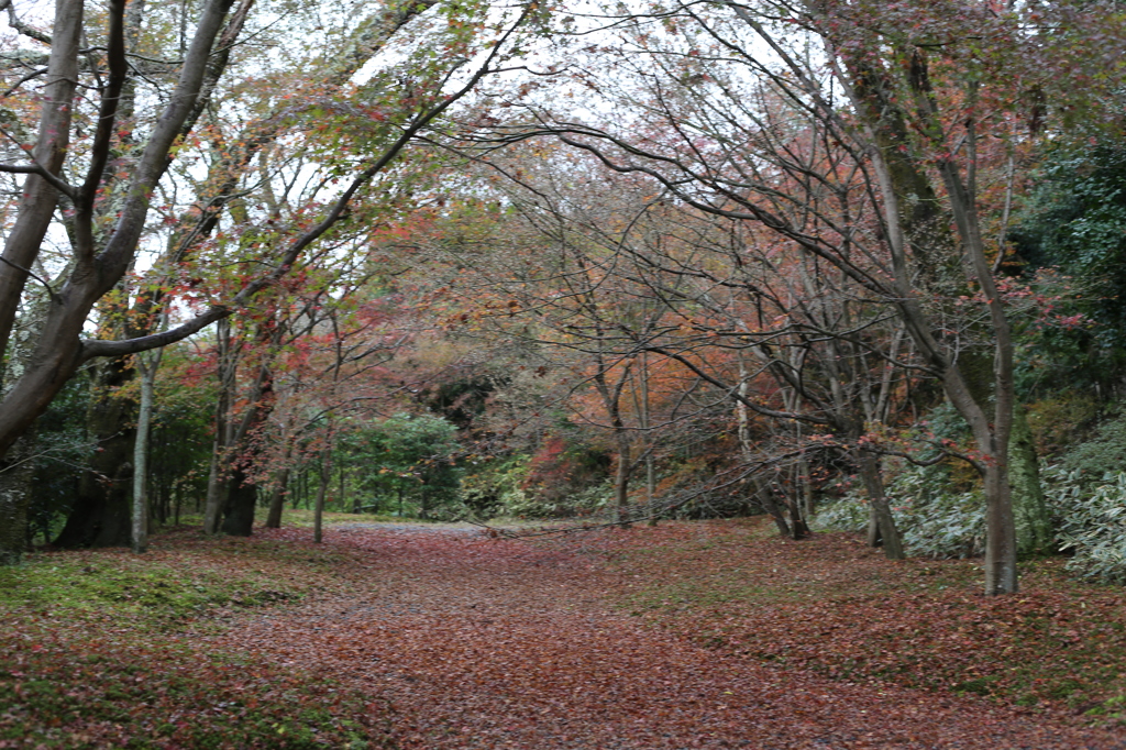 弘川寺(南河内郡)