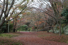 弘川寺(南河内郡)