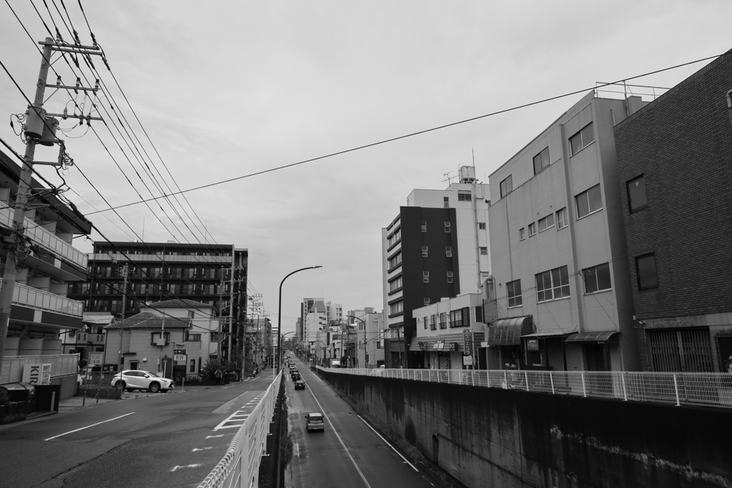 散歩コーススナップ