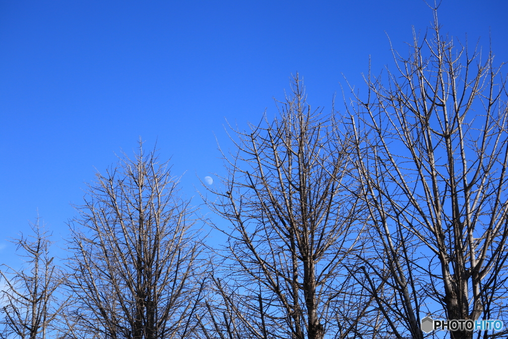 散歩コーススナップ