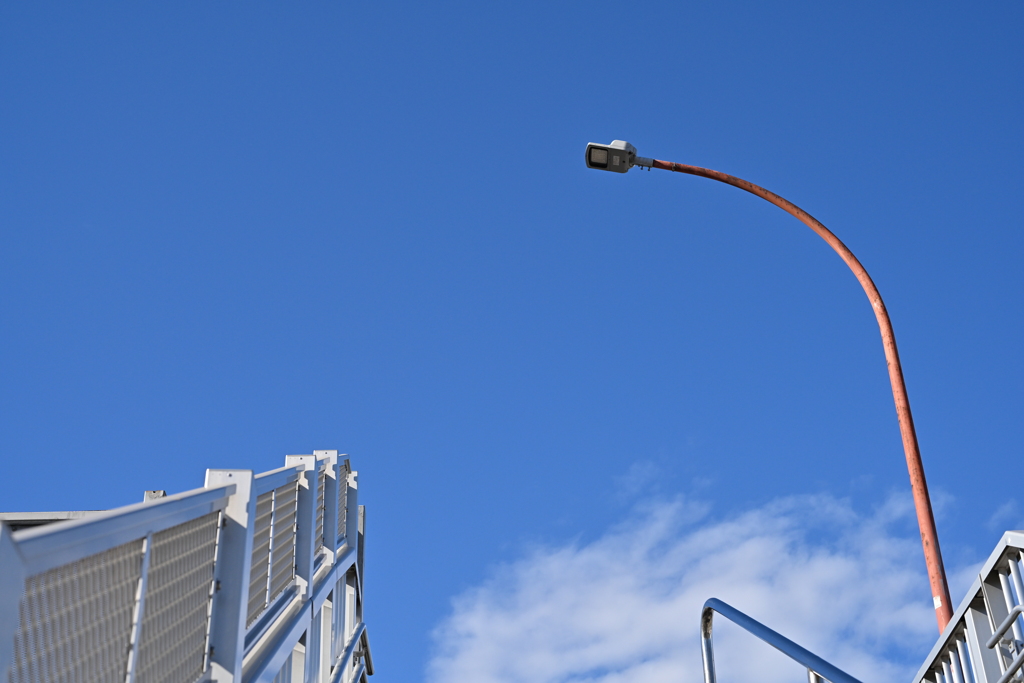 散歩コーススナップ