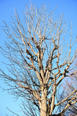 散歩コーススナップ