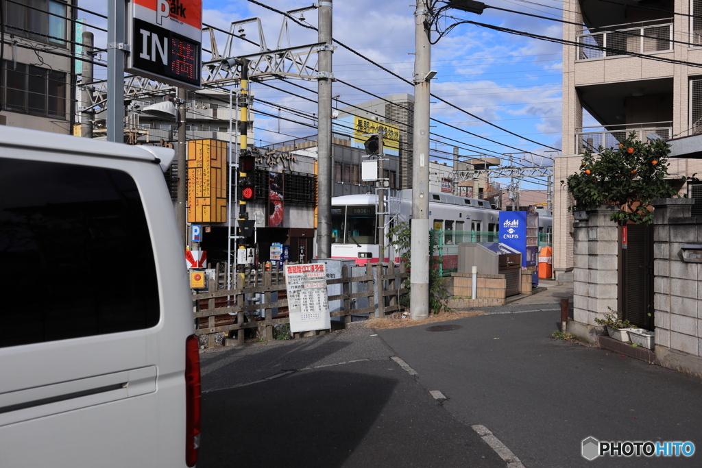 散歩コーススナップ