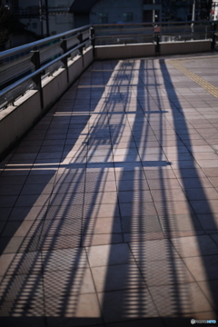 散歩コーススナップ