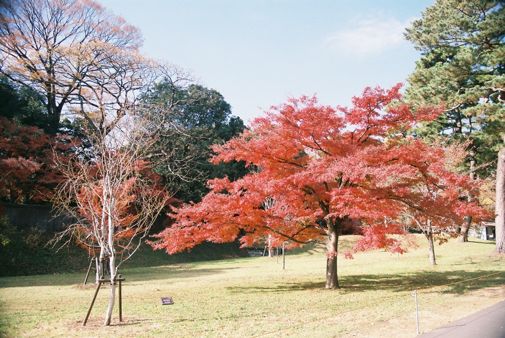 皇居内　